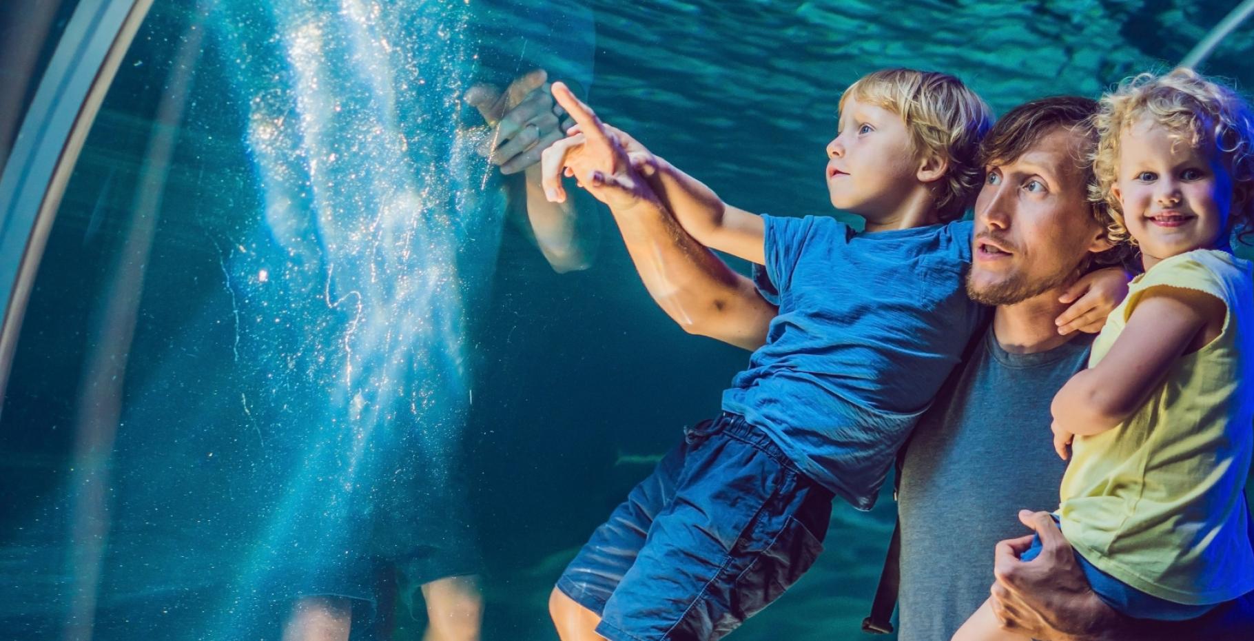 Famiglia osserva affascinata i pesci in un tunnel sottomarino dell'acquario.